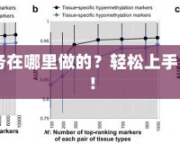 CF新手任務(wù)在哪里做的？輕松上手，快速成長(zhǎng)！