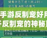 神武手游反制寵好用嗎？揭開反制寵的神秘面紗