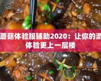 CF蘑菇體驗(yàn)服輔助2020：讓你的游戲體驗(yàn)更上一層樓