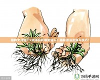 植物大戰(zhàn)僵尸2激活碼在哪里輸入？揭秘激活流程與技巧！