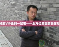 暢游VIP級別一覽表——全方位解鎖尊貴體驗