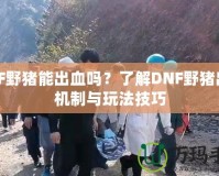 DNF野豬能出血嗎？了解DNF野豬出血機制與玩法技巧