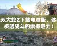 無雙大蛇Z下載電腦版，體驗極限戰(zhàn)斗的震撼魅力！