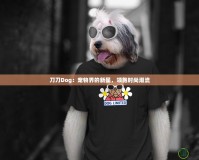 刀刀Dog：寵物界的新星，領(lǐng)跑時(shí)尚潮流