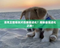 洛克王國地獄犬在哪超進(jìn)化？揭秘最強(qiáng)進(jìn)化之路！