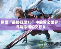 《探索“最終幻想13”中的雪之世界：勇氣與命運(yùn)的交織》