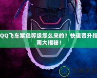 QQ飛車紫色等級怎么來的？快速晉升指南大揭秘！