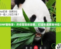 《DNF寵物蛋：開啟冒險新篇章，打造專屬萌寵伴侶！》