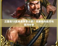 三國(guó)志12武將名字怎么輸？詳解操作技巧與技巧分享