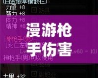 漫游槍手傷害高嗎？深入分析《游戲名字》中的職業(yè)定位與玩法優(yōu)勢