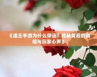 《道王手游為什么停運？揭秘背后的真相與玩家心聲》