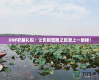 DNF農(nóng)耕禮包：讓你的冒險之旅更上一層樓！