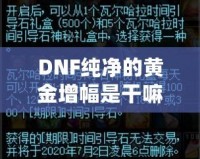 DNF純凈的黃金增幅是干嘛的？深度解析與玩法技巧