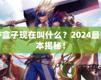 DNF盒子現(xiàn)在叫什么？2024最新版本揭秘！