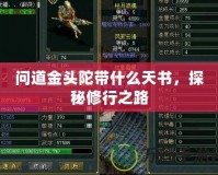 問道金頭陀帶什么天書，探秘修行之路