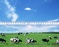 頂級跑馬牧場體質(zhì)有什么用？探索賽馬產(chǎn)業(yè)背后的關(guān)鍵因素