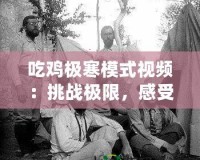 吃雞極寒模式視頻：挑戰(zhàn)極限，感受冷酷生存的魅力