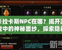 卡拉卡斯NPC在哪？揭開游戲中的神秘面紗，探索隱藏任務(wù)與寶藏