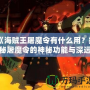 《海賊王屠魔令有什么用？揭秘屠魔令的神秘功能與深遠意義》