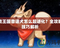 洛克王國音速犬怎么超進化？全攻略與技巧解析