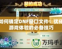 如何確定DNF窗口文件：優(yōu)化游戲體驗的必備技巧