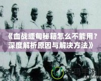 《血戰(zhàn)緬甸秘籍怎么不能用？深度解析原因與解決方法》