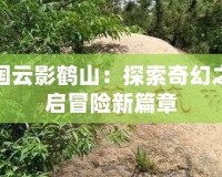 洛克王國(guó)云影鶴山：探索奇幻之地，開(kāi)啟冒險(xiǎn)新篇章