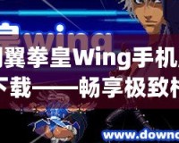 閃翼拳皇Wing手機(jī)版下載——暢享極致格斗體驗(yàn)！