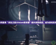 如何使用“求生之路2Steam修改器”提升游戲體驗(yàn)，成為游戲高手！