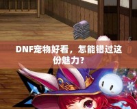 DNF寵物好看，怎能錯(cuò)過這份魅力？