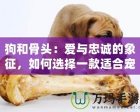 狗和骨頭：愛與忠誠的象征，如何選擇一款適合寵物的骨頭？