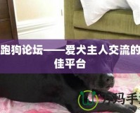 跑跑狗論壇——愛犬主人交流的最佳平臺(tái)