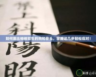 如何畫出栩栩如生的狗和骨頭，掌握這幾步輕松應(yīng)對(duì)！