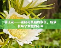 霸王花——堅(jiān)韌與美麗的象征，綻放在每個女性的心中