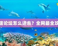 夢幻海底論壇怎么進去？全網(wǎng)最全攻略揭秘