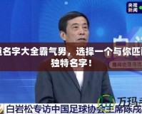 問道名字大全霸氣男，選擇一個(gè)與你匹配的獨(dú)特名字！