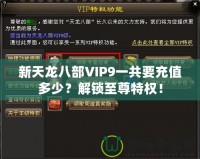 新天龍八部VIP9一共要充值多少？解鎖至尊特權(quán)！