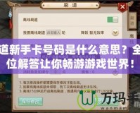 問道新手卡號碼是什么意思？全方位解答讓你暢游游戲世界！