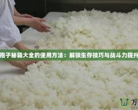 孢子秘籍大全的使用方法：解鎖生存技巧與戰(zhàn)斗力提升