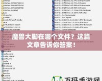 魔獸大腳在哪個(gè)文件？這篇文章告訴你答案！