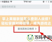 掌上英雄聯(lián)盟怎么查別人戰(zhàn)績？輕松掌握對局信息，成為游戲達人！