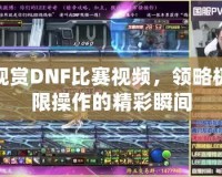 觀賞DNF比賽視頻，領(lǐng)略極限操作的精彩瞬間