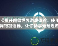 《提升魔獸世界游戲體驗：使用網絡加速器，讓你暢享無延遲游戲快感》