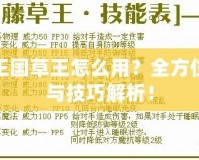 洛克王國草王怎么用？全方位攻略與技巧解析！