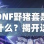 DNF野豬套是什么？揭開這套裝備的神秘面紗，助你征戰(zhàn)地下城！