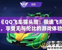 《QQ飛車貓頭鷹：極速飛翔，享受無與倫比的游戲體驗(yàn)》