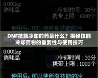 DNF技能冷卻的藥是什么？揭秘技能冷卻藥物的重要性與使用技巧