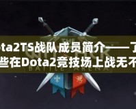 Dota2TS戰(zhàn)隊成員簡介——了解那些在Dota2競技場上戰(zhàn)無不勝的英雄