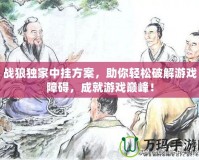 戰(zhàn)狼獨家中掛方案，助你輕松破解游戲障礙，成就游戲巔峰！