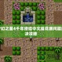 夢(mèng)幻之星4千年終結(jié)中文版花屏問題解決攻略